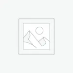 Nơi nhập dữ liệu